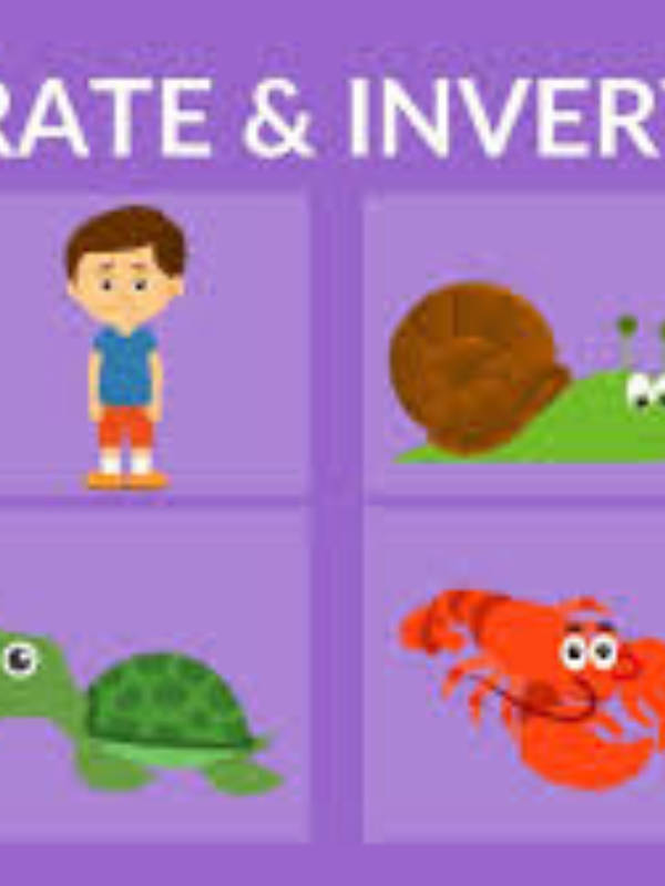 pack cover image