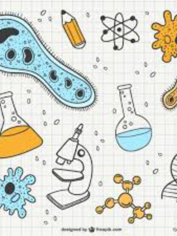 pack cover image