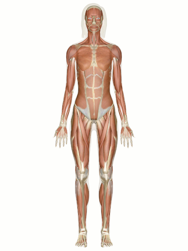 pack cover image