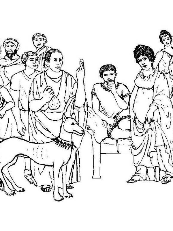 pack cover image