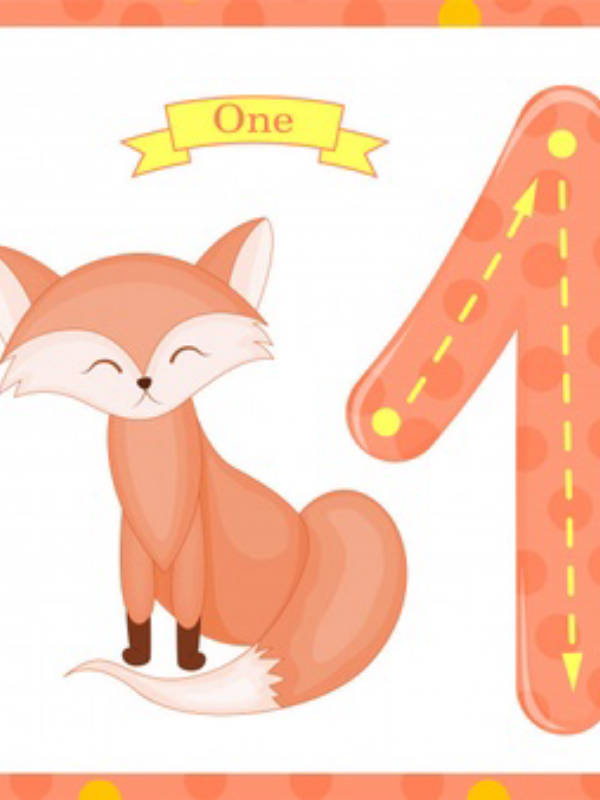pack cover image