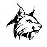 Anton_LynX